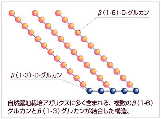 β－グルカン